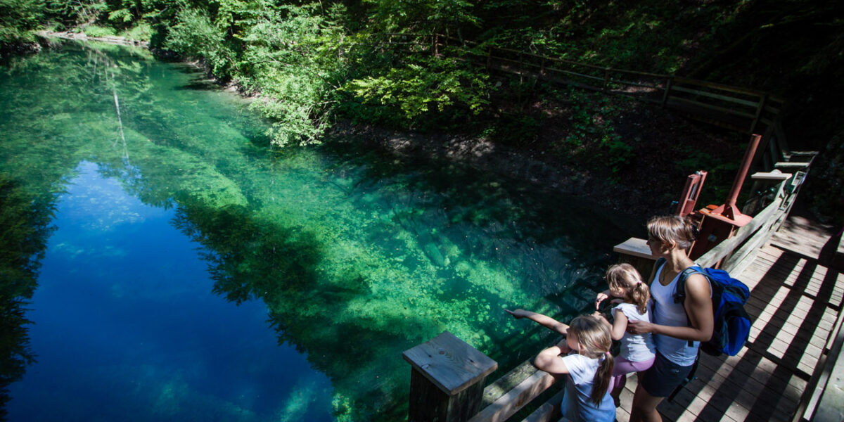 Drei Personen stehen auf einer Holzplattform mit Blick auf einen klaren, blaugrünen Teich, der von Bäumen und Sonnenlicht umgeben ist.