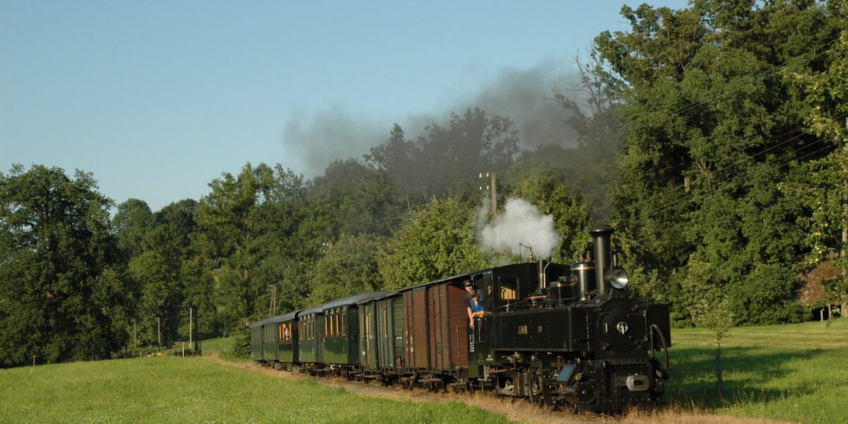 Ein alter Dampfzug mit grünen Waggons fährt unter einem klaren blauen Himmel durch eine von Bäumen gesäumte Wiese.