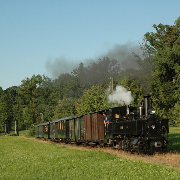 Ein alter Dampfzug mit grünen Waggons fährt unter einem klaren blauen Himmel durch eine von Bäumen gesäumte Wiese.