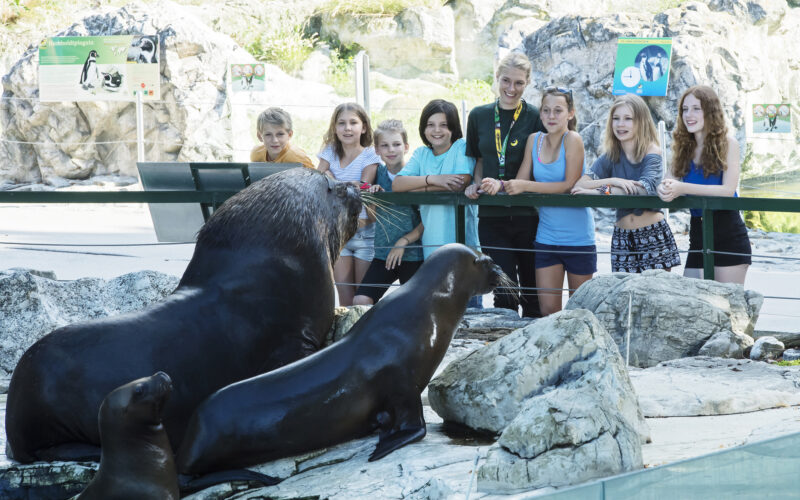 Eine Gruppe von Kindern und Jugendlichen steht hinter einer Glaswand und beobachtet drei Seelöwen auf Felsen in einem Zoo.