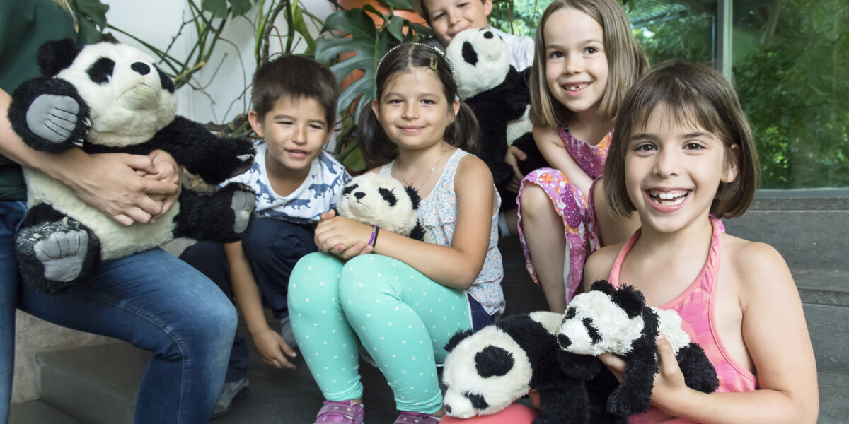 Fünf lächelnde Kinder sitzen auf einer Treppe im Haus, jedes hält einen ausgestopften Panda, im Hintergrund sind Pflanzen und ein Fenster zu sehen. Man sieht die Hände eines Erwachsenen, der ein Panda-Spielzeug hält.