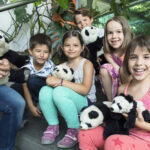 Fünf lächelnde Kinder sitzen auf einer Treppe im Haus, jedes hält einen ausgestopften Panda, im Hintergrund sind Pflanzen und ein Fenster zu sehen. Man sieht die Hände eines Erwachsenen, der ein Panda-Spielzeug hält.