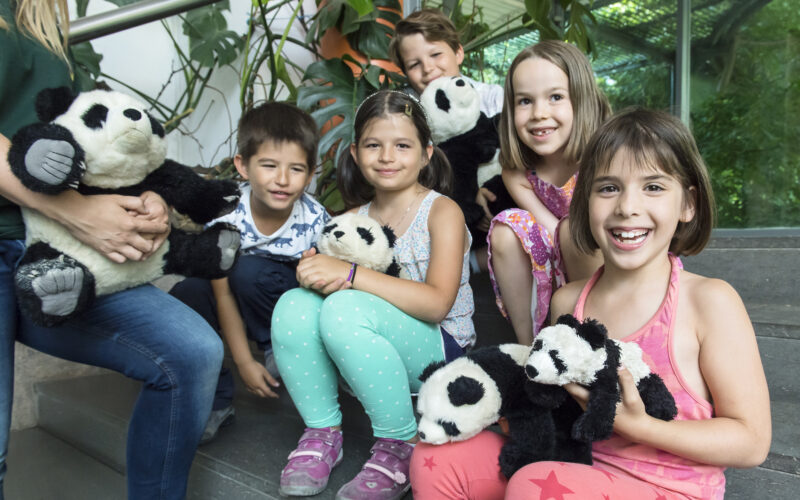 Fünf lächelnde Kinder sitzen auf einer Treppe im Haus, jedes hält einen ausgestopften Panda, im Hintergrund sind Pflanzen und ein Fenster zu sehen. Man sieht die Hände eines Erwachsenen, der ein Panda-Spielzeug hält.