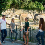 Eine Gruppe von Menschen steht in der Nähe eines Zauns und beobachtet drei Elefanten in einem Außengehege eines Zoos mit Bäumen und Felsen im Hintergrund.