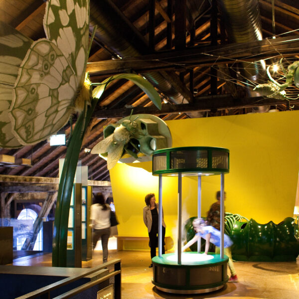 Menschen beobachten große Insektenmodelle und interaktive Displays in einer Museumsausstellung mit Holzbalken und gelben Wänden.