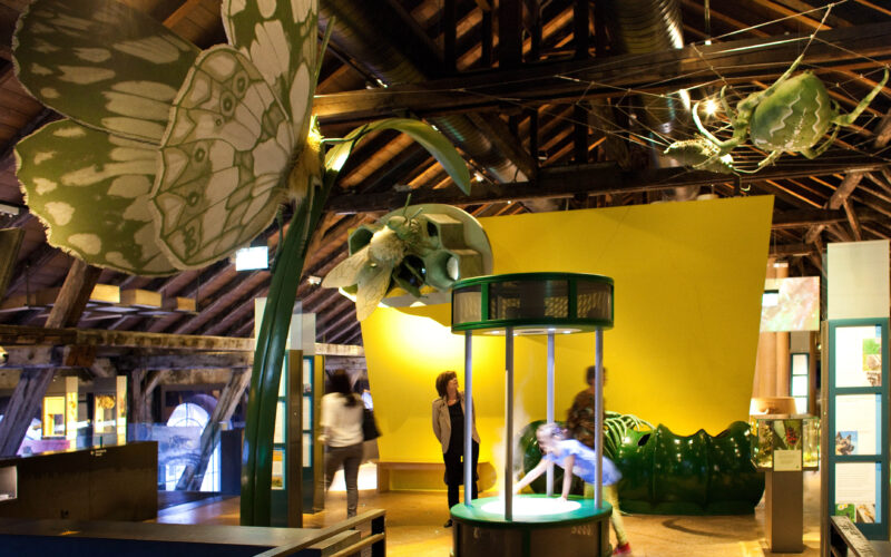 Menschen beobachten große Insektenmodelle und interaktive Displays in einer Museumsausstellung mit Holzbalken und gelben Wänden.