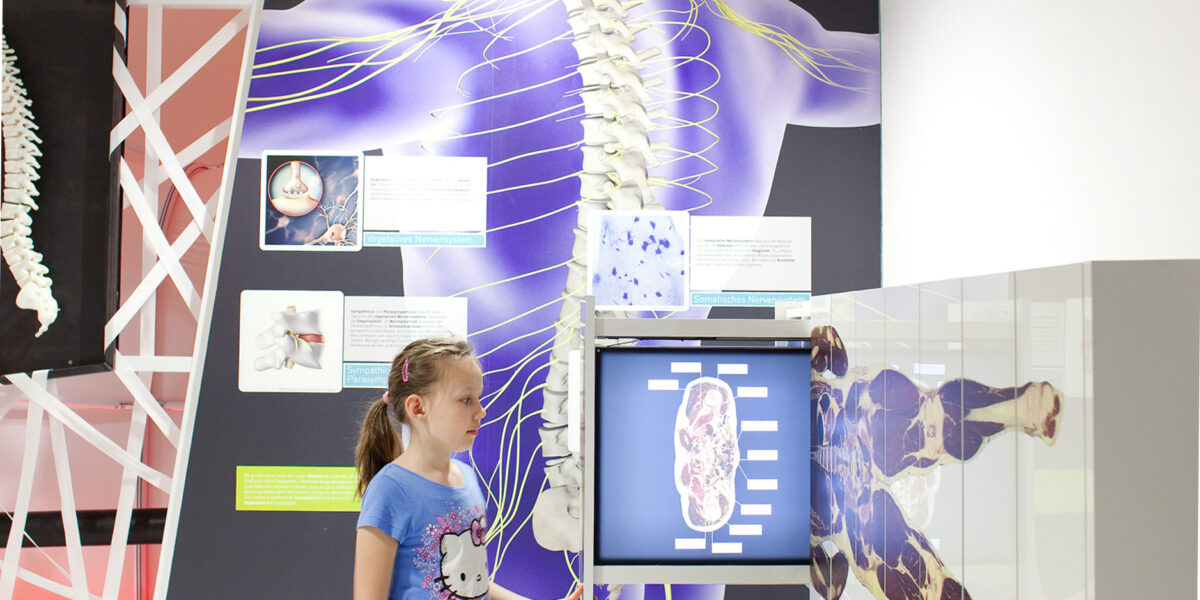 Ein junges Mädchen interagiert mit einer Ausstellung über die menschliche Wirbelsäule und das Nervensystem, die anatomische Diagramme und Informationsdisplays an einer Wand zeigt.
