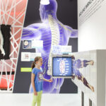 Ein junges Mädchen interagiert mit einer Ausstellung über die menschliche Wirbelsäule und das Nervensystem, die anatomische Diagramme und Informationsdisplays an einer Wand zeigt.