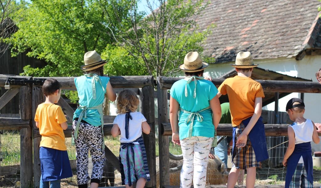 Sechs Kinder mit Hüten stehen mit dem Rücken zur Kamera und schauen an einem sonnigen Tag über einen Holzzaun auf einen Bauernhof.