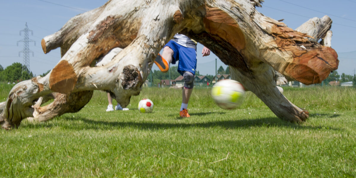 Eine Person kickt einen Fußball unter einem großen, umgestürzten Baumstamm auf einer Wiese an einem sonnigen Tag. Zwei Fußbälle sind auf dem Boden zu sehen.