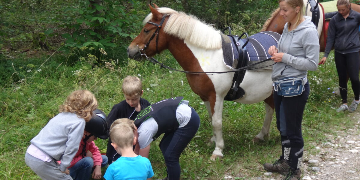Eine Gruppe von Kindern und ein Erwachsener stehen neben einem gesattelten Pony auf einem Waldweg; einige Kinder schauen sich etwas auf dem Boden an.