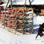 Ein schwarz-weißer Hund ist vor einen großen Stapel von Holzschlitten gespannt, die mit Seilen auf einem verschneiten Boden zusammengebunden sind.