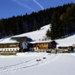 Eine rustikale Holzhütte liegt neben einem schneebedeckten Feld mit Schlittenspuren, umgeben von einem dichten, immergrünen Wald unter einem strahlend blauen Himmel.