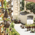 Im Freien stehen geflochtene Körbe auf einem Holzgestell neben einer Steinmauer, weitere Körbe und Pflanzen sind in einem sonnigen Innenhof aufgestellt.