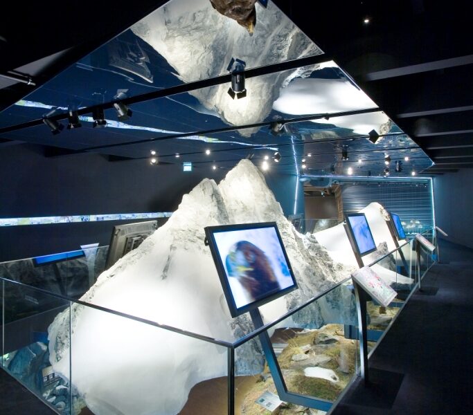 Ausstellung mit einer großen künstlichen Eisformation, Informationsbildschirmen, Schaukästen und einem präparierten Vogel an der Decke.