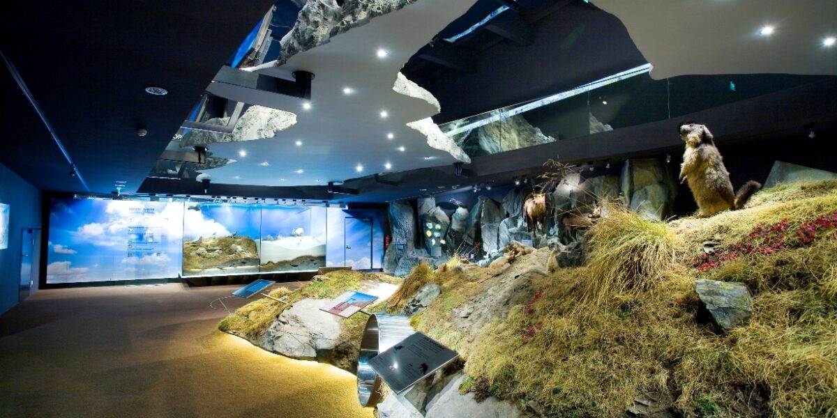 Museumsexponat mit einem naturalistischen Gebirgsdiorama mit Tiermodellen, Felsen und Pflanzen unter dramatischer Decken- und Displaybeleuchtung.