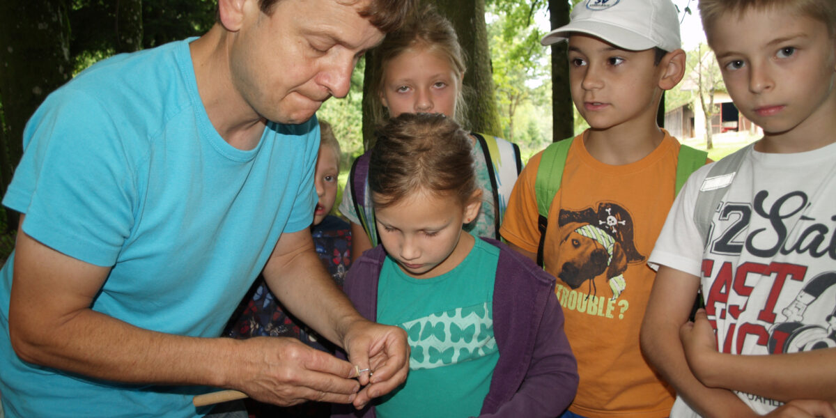 Ein Erwachsener steht im Freien zwischen Bäumen und zeigt einer Gruppe von Kindern einen Gegenstand, den er in der Hand hält. Die Kinder schauen aufmerksam zu.