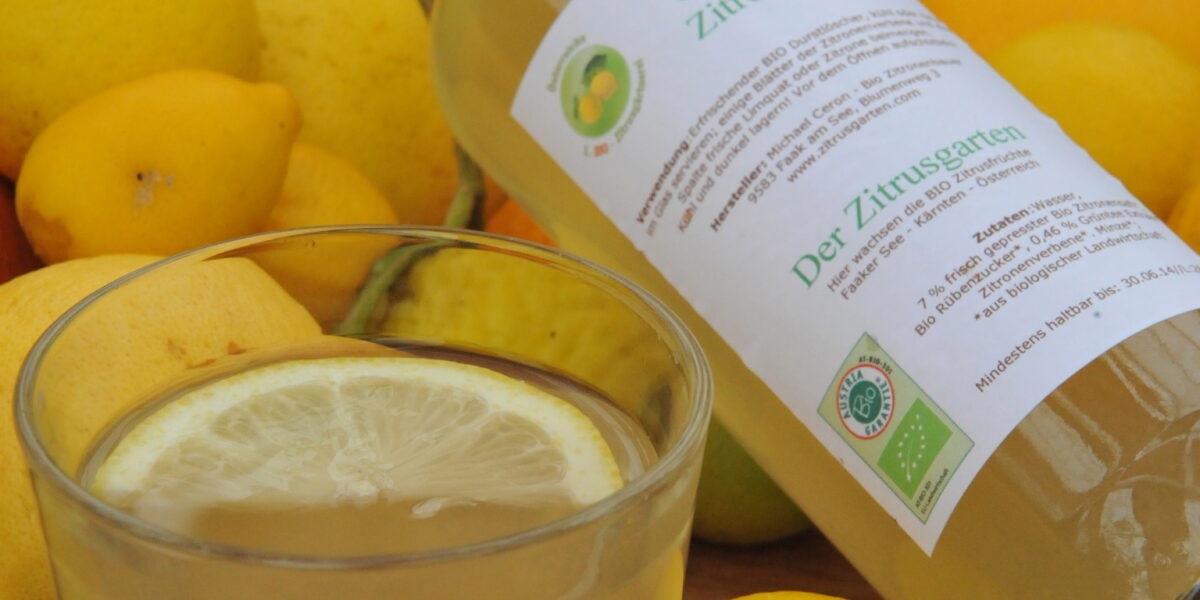 Ein Glas Zitronengetränk mit einer Zitronenscheibe, daneben eine Flasche mit der Aufschrift "Zitronenlimonade", umgeben von verschiedenen ganzen Zitrusfrüchten.