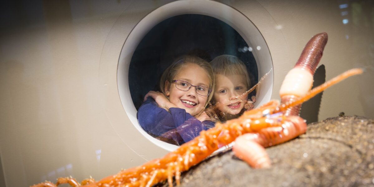 Zwei Kinder lächeln, während sie durch ein rundes Fenster einen großen orange-weißen Meereswurm betrachten, der in einer Aquarienausstellung auf Sand liegt.