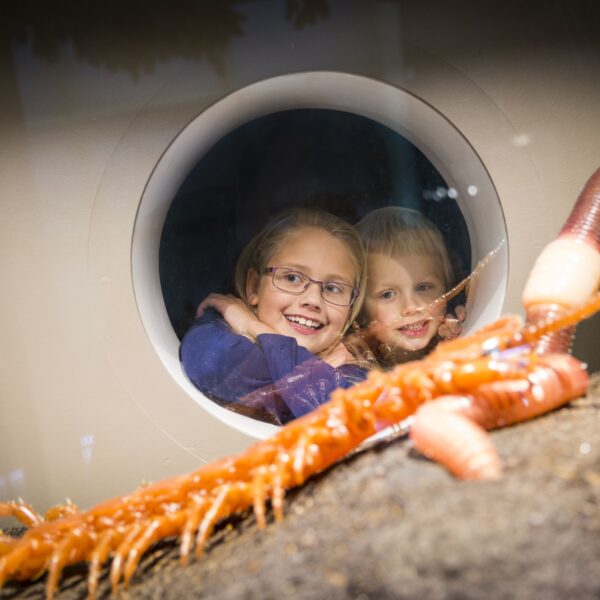Zwei Kinder lächeln, während sie durch ein rundes Fenster einen großen orange-weißen Meereswurm betrachten, der in einer Aquarienausstellung auf Sand liegt.