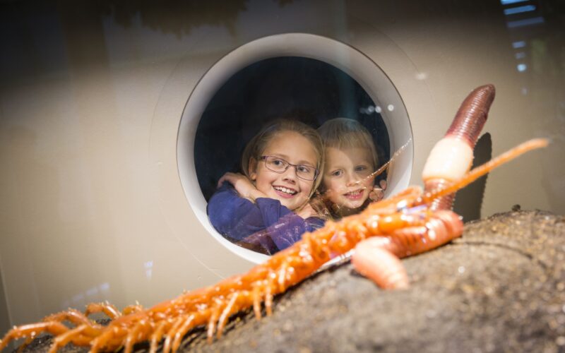 Zwei Kinder lächeln, während sie durch ein rundes Fenster einen großen orange-weißen Meereswurm betrachten, der in einer Aquarienausstellung auf Sand liegt.