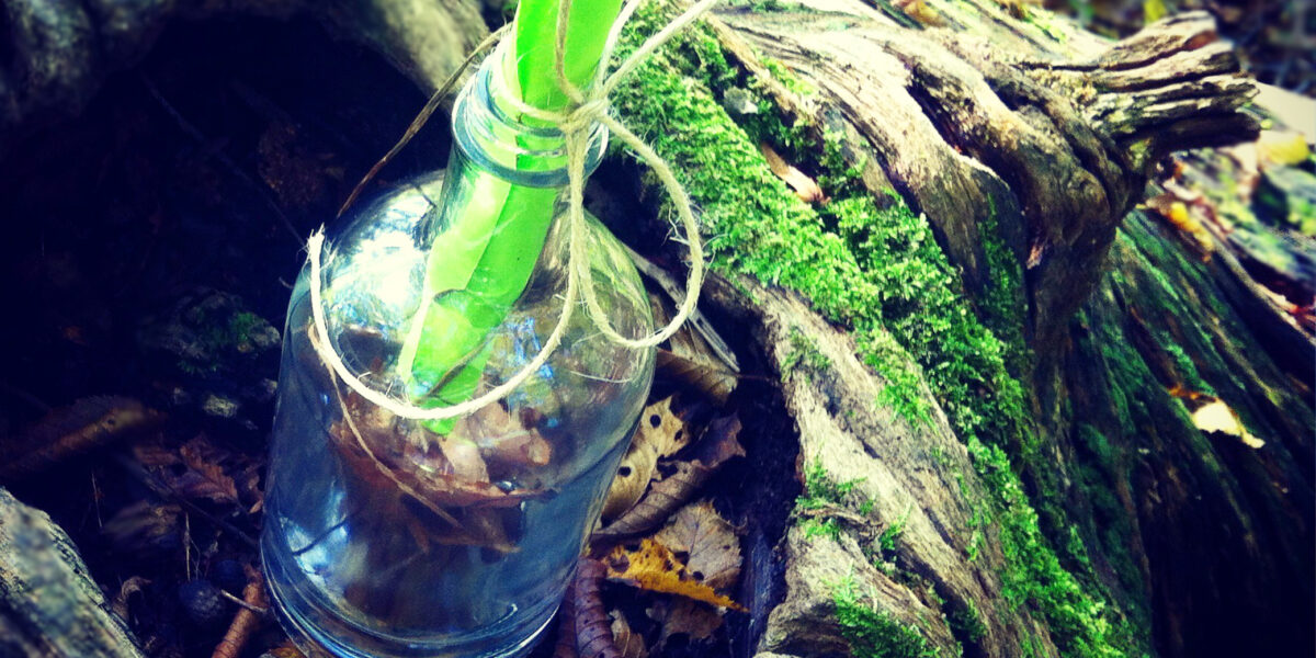 Eine kleine Glasflasche mit einem grünen aufgerollten Papier im Inneren sitzt auf einem Baumstumpf in einem Wald. Der Text lautet "abenteuer waldgeburtstage" und "www.lucylynn.com.".
