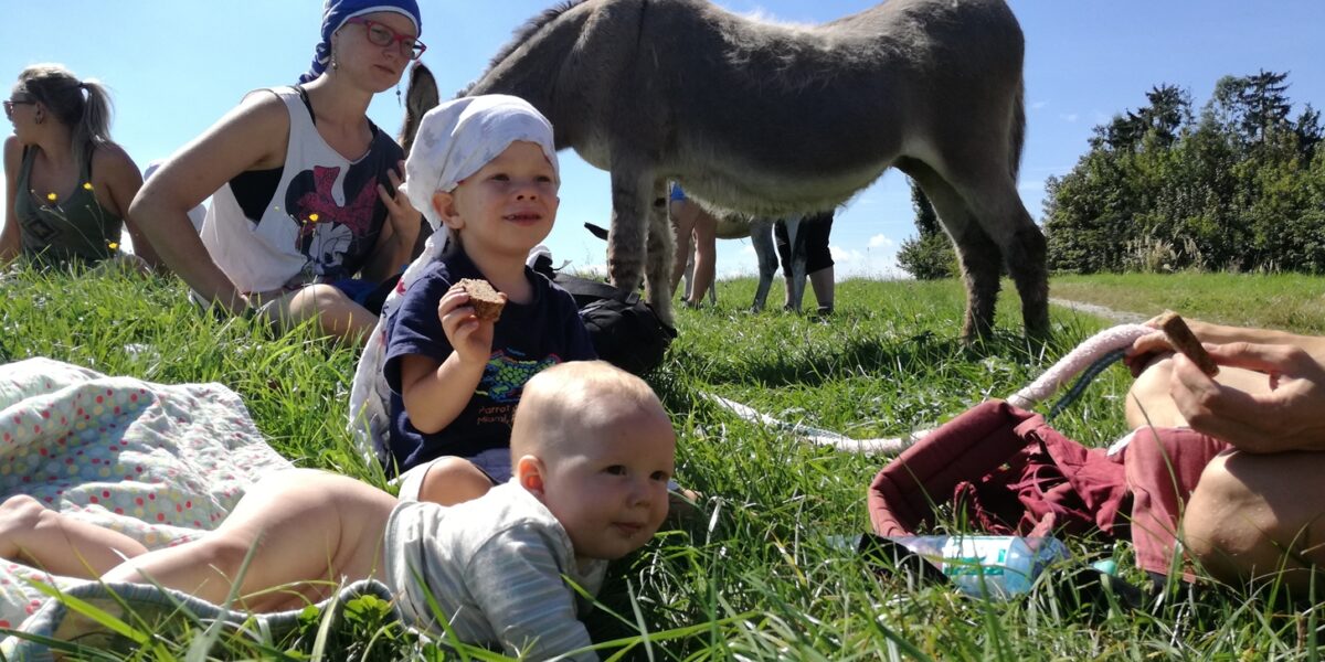 Mehrere Menschen und zwei kleine Kinder sitzen und liegen an einem sonnigen Tag im Gras in der Nähe eines Esels, mit blauem Himmel und Bäumen im Hintergrund.