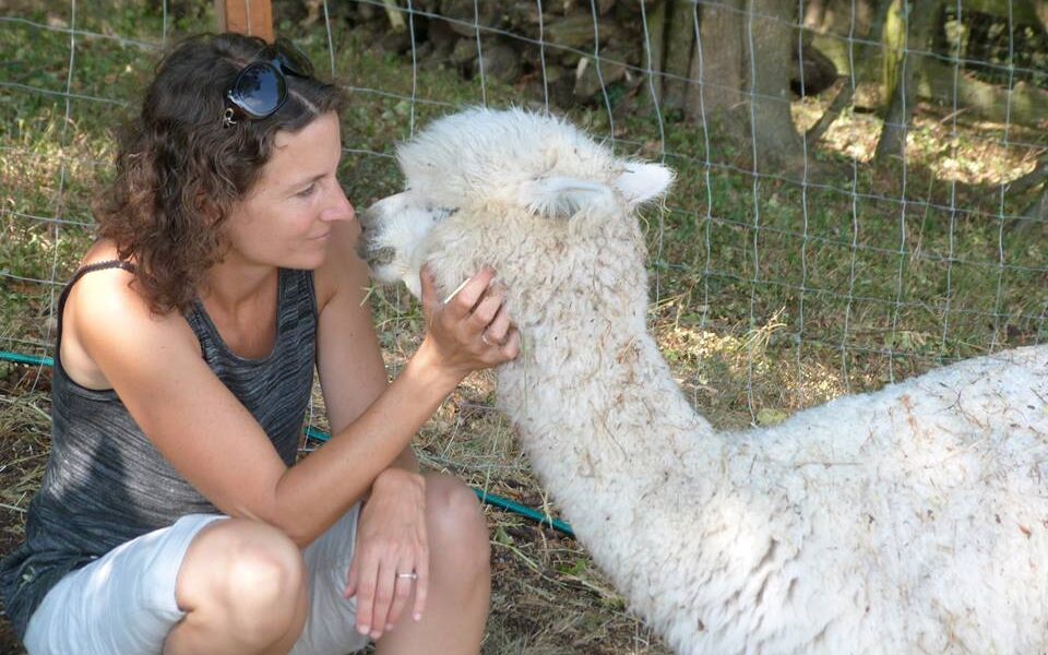 Eine Frau hockt sich hin und hält sanft das Gesicht eines weißen Alpakas, während sie durch einen Drahtzaun im Freien Augenkontakt herstellt.