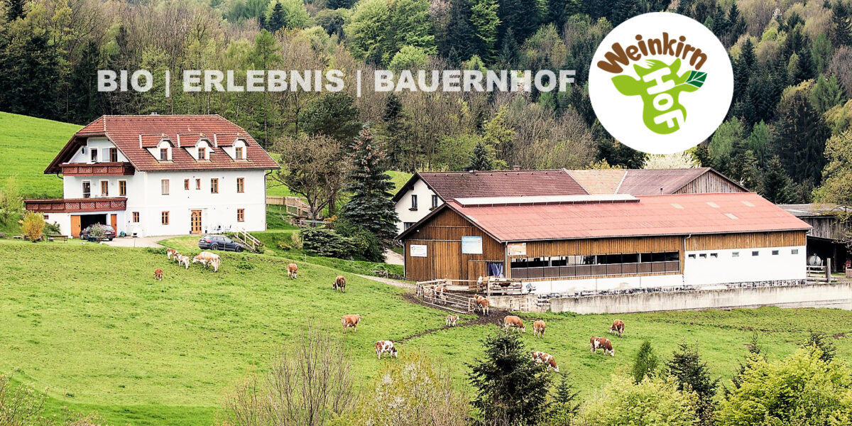 Ein ländlicher Bauernhof mit grasenden Kühen, einem großen weißen Haus, einer Scheune und einem Logo mit der Aufschrift "Weinkirn" und den Worten BIO | ERLEBNIS | BAUERNHOF im Hintergrund.