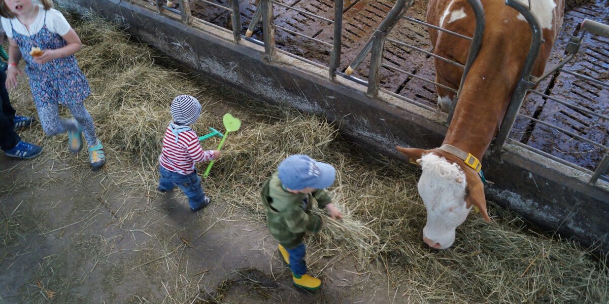Drei Kinder spielen mit Heu in der Nähe einer Kuh, die in einem Stall frisst. Die Szene ist von oben betrachtet, mit weiteren Kühen in Ställen im Hintergrund.