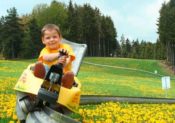 Ein kleiner Junge fährt mit einer gelben Alpenachterbahn auf einer Metallschiene, umgeben von einem Feld mit gelben Blumen und Bäumen.