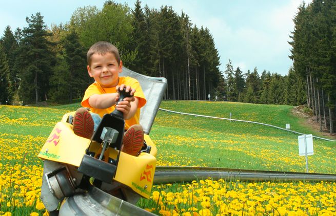 Ein kleiner Junge fährt mit einer gelben Alpenachterbahn auf einer Metallschiene, umgeben von einem Feld mit gelben Blumen und Bäumen.