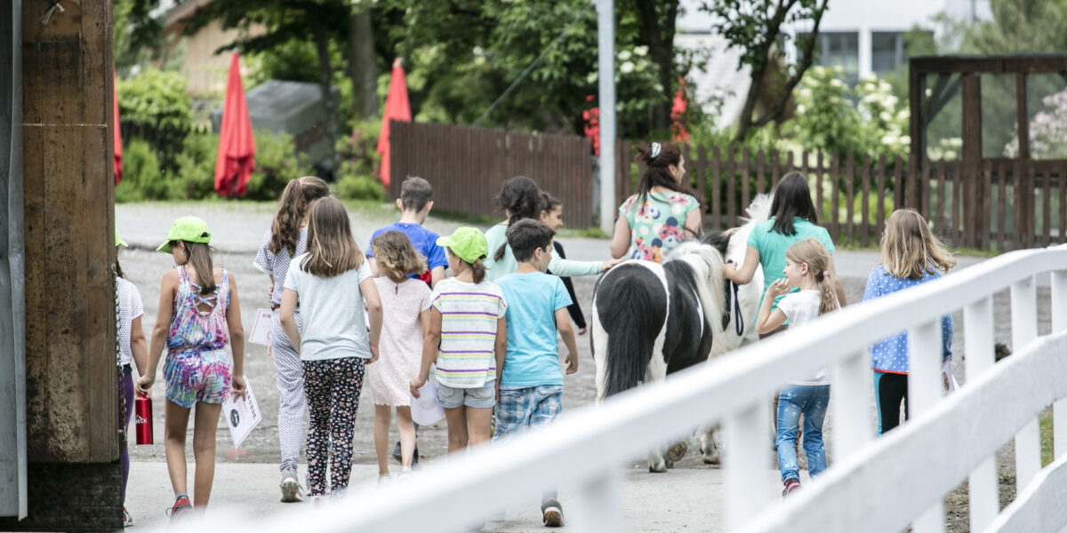 Eine Gruppe von Kindern geht gemeinsam auf einem Pfad in der Nähe eines Ponys auf einem Bauernhof spazieren, beaufsichtigt von Erwachsenen, mit Bäumen und einem weißen Zaun in der Nähe.