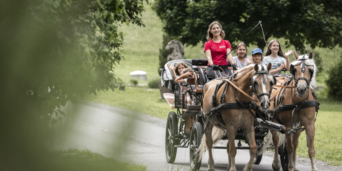 Eine Gruppe von Menschen fährt in einer Pferdekutsche über einen gepflasterten Weg, der von Gras und Bäumen gesäumt ist.