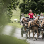 Eine Gruppe von Menschen fährt in einer Pferdekutsche über einen gepflasterten Weg, der von Gras und Bäumen gesäumt ist.