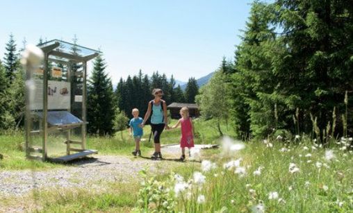 Ein Erwachsener und zwei Kinder gehen auf einem Pfad durch ein grasbewachsenes, bewaldetes Gebiet, vorbei an einem Informationsschild unter einem klaren Himmel.