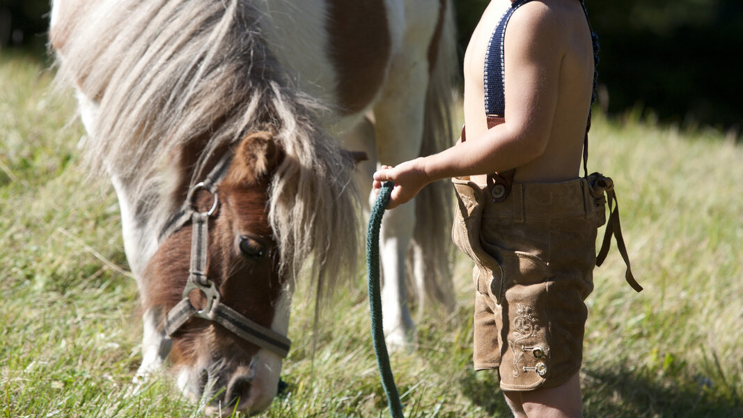 Ein kleines Kind steht an der Leine, die an einem kleinen braun-weißen Pony befestigt ist, das auf einer sonnenbeschienenen Wiese weidet.