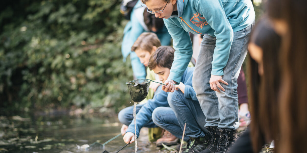 Mehrere Kinder hocken an einem Teich und verwenden Netze, um Gegenstände im Wasser zu sammeln oder zu beobachten, während sie von Grün umgeben sind.