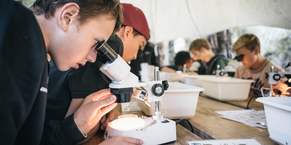 Mehrere junge Schüler sitzen an einem Tisch und untersuchen Proben unter dem Mikroskop. Vor ihnen liegen Arbeitsblätter und Behälter, unter einem weißen Baldachin.