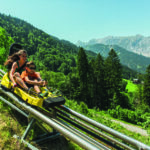 Zwei Personen fahren an einem sonnigen Tag mit einem gelben Alpine Coaster eine Strecke durch eine bewaldete Berglandschaft hinunter.