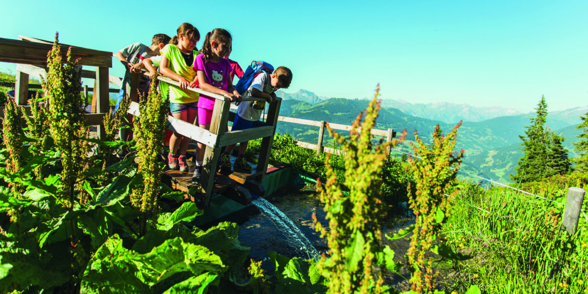 Eine Gruppe von Kindern steht auf einer kleinen Holzbrücke über einen Bach, umgeben von grünen Pflanzen und Bergen unter einem klaren blauen Himmel.