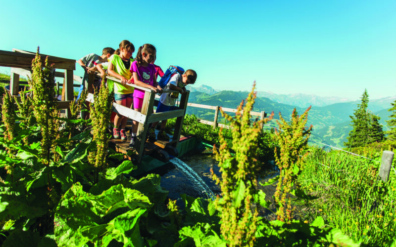Eine Gruppe von Kindern steht auf einer kleinen Holzbrücke über einen Bach, umgeben von grünen Pflanzen und Bergen unter einem klaren blauen Himmel.