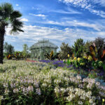 Ein Glaspavillon steht in einem Garten voller blühender Blumen, tropischer Pflanzen und einer Palme unter einem teilweise bewölkten Himmel.