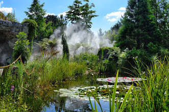 Ein üppiger, grüner Garten mit einem Teich mit Seerosenblättern, umgeben von hohen Gräsern und Bäumen, mit aufsteigendem Nebel im Hintergrund unter einem teilweise bewölkten Himmel.
