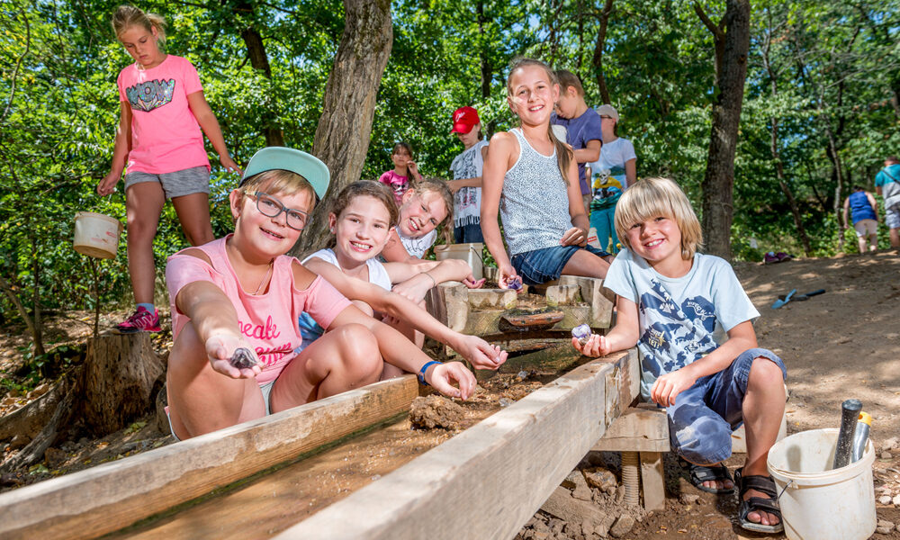 Eine Gruppe Kinder durchsucht im Freien lächelnd eine Holzschleuse und ist unter den Bäumen mit einer praktischen Aktivität beschäftigt.