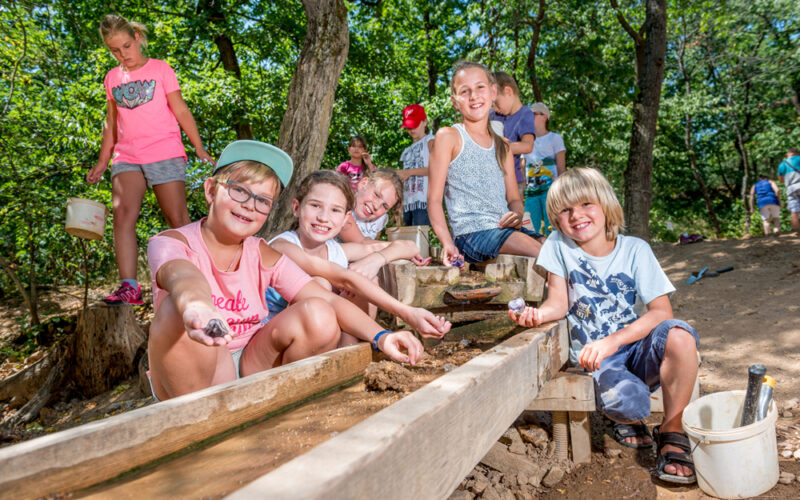 Eine Gruppe Kinder durchsucht im Freien lächelnd eine Holzschleuse und ist unter den Bäumen mit einer praktischen Aktivität beschäftigt.