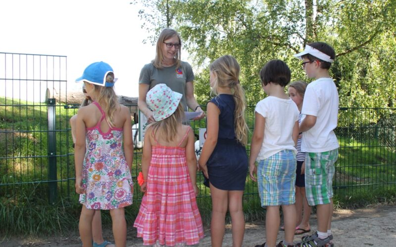 Eine Gruppe von Kindern hört an einem sonnigen Tag im Freien einer Frau im grünen Hemd an einem Metallzaun zu.