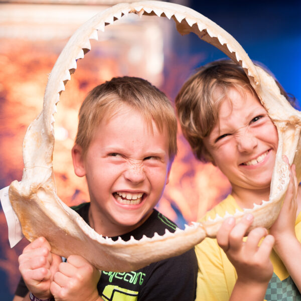 Zwei Kinder lächeln und machen spielerische Grimassen, während sie sich in einer Ausstellung ein großes Haifischgebiss vor das Gesicht halten.