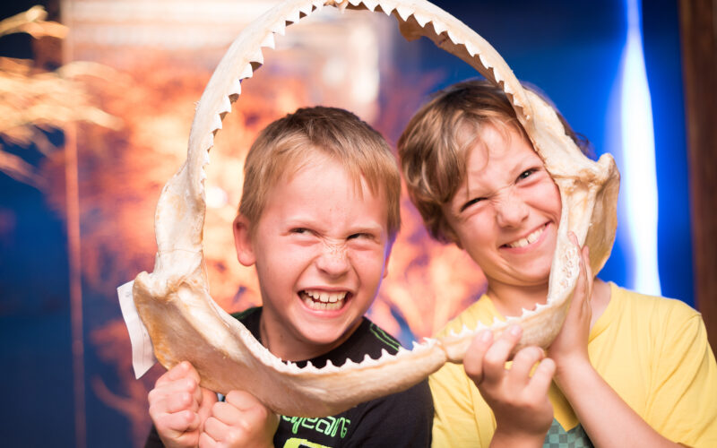 Zwei Kinder lächeln und machen spielerische Grimassen, während sie sich in einer Ausstellung ein großes Haifischgebiss vor das Gesicht halten.
