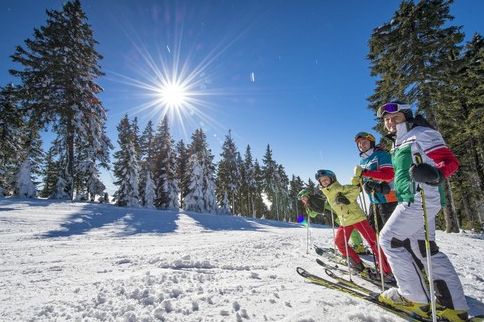 Vier Personen in farbenfrohen Skiklamotten stehen auf einer verschneiten Piste mit Skiern, umgeben von Pinienbäumen unter strahlender Sonne und blauem Himmel.